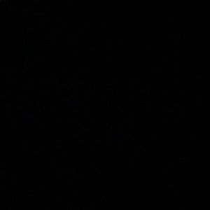 Meet your Posher, Ally